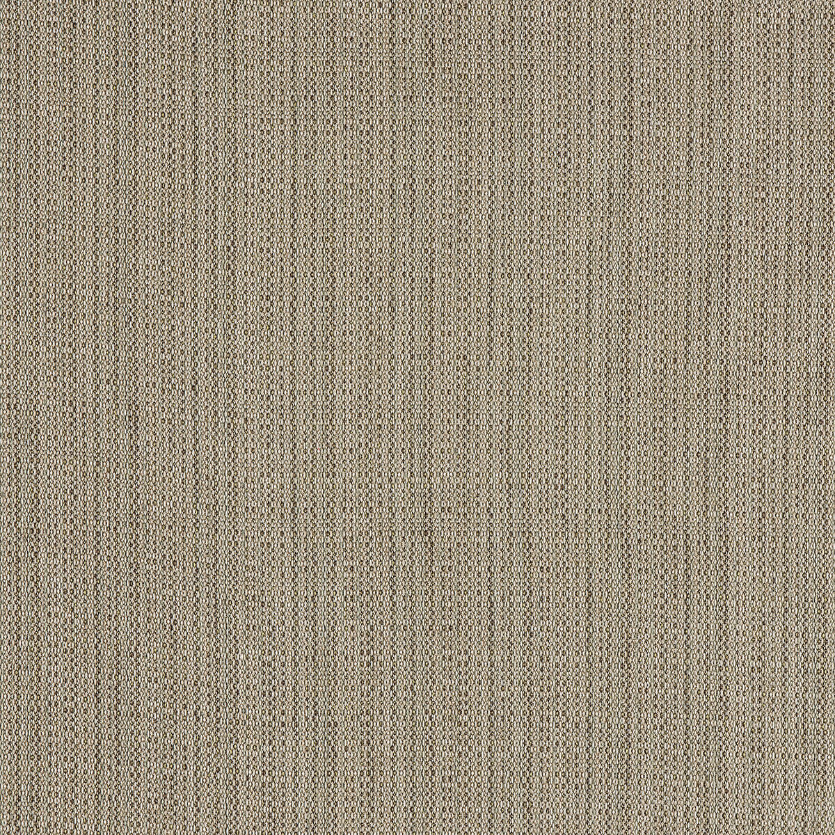 C8 88 Sisal