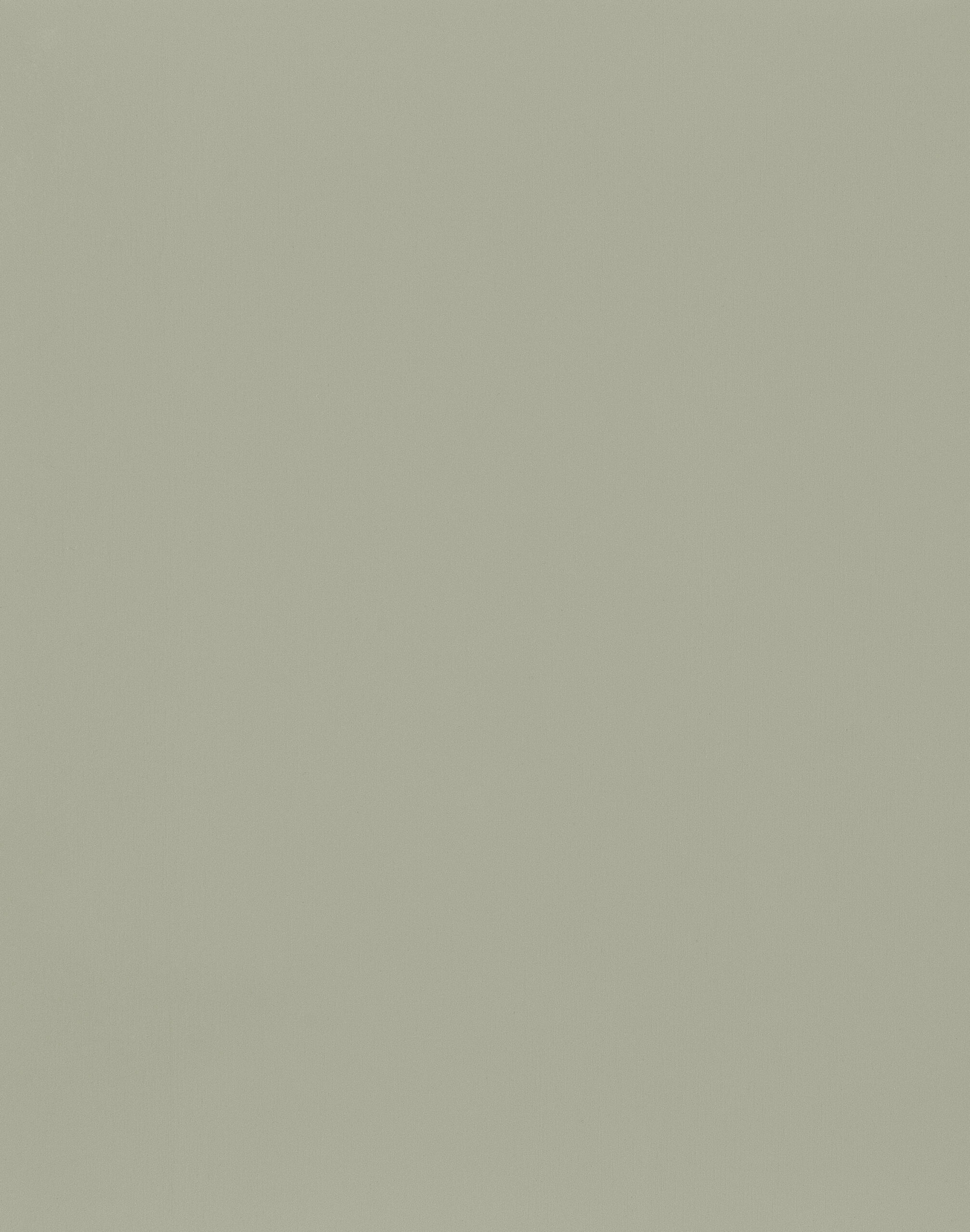 Brown-Maple-Muted-Dried-Spruce – SP