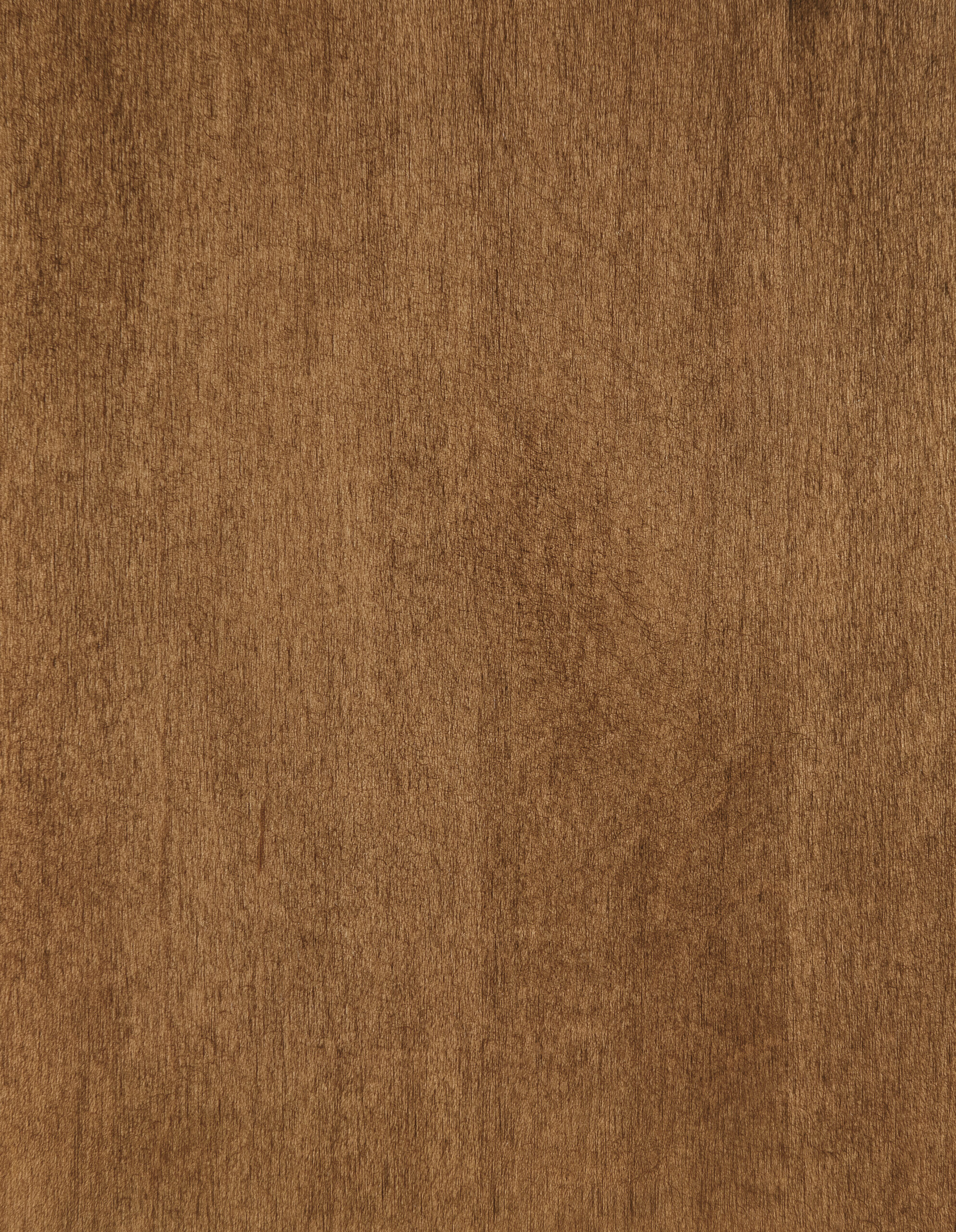 Hard-Maple-Clove – SP