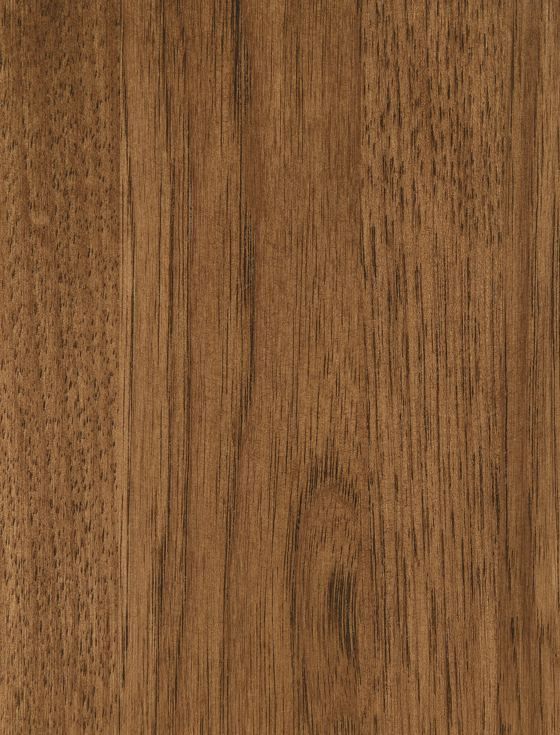 Hickory-Clove – SP