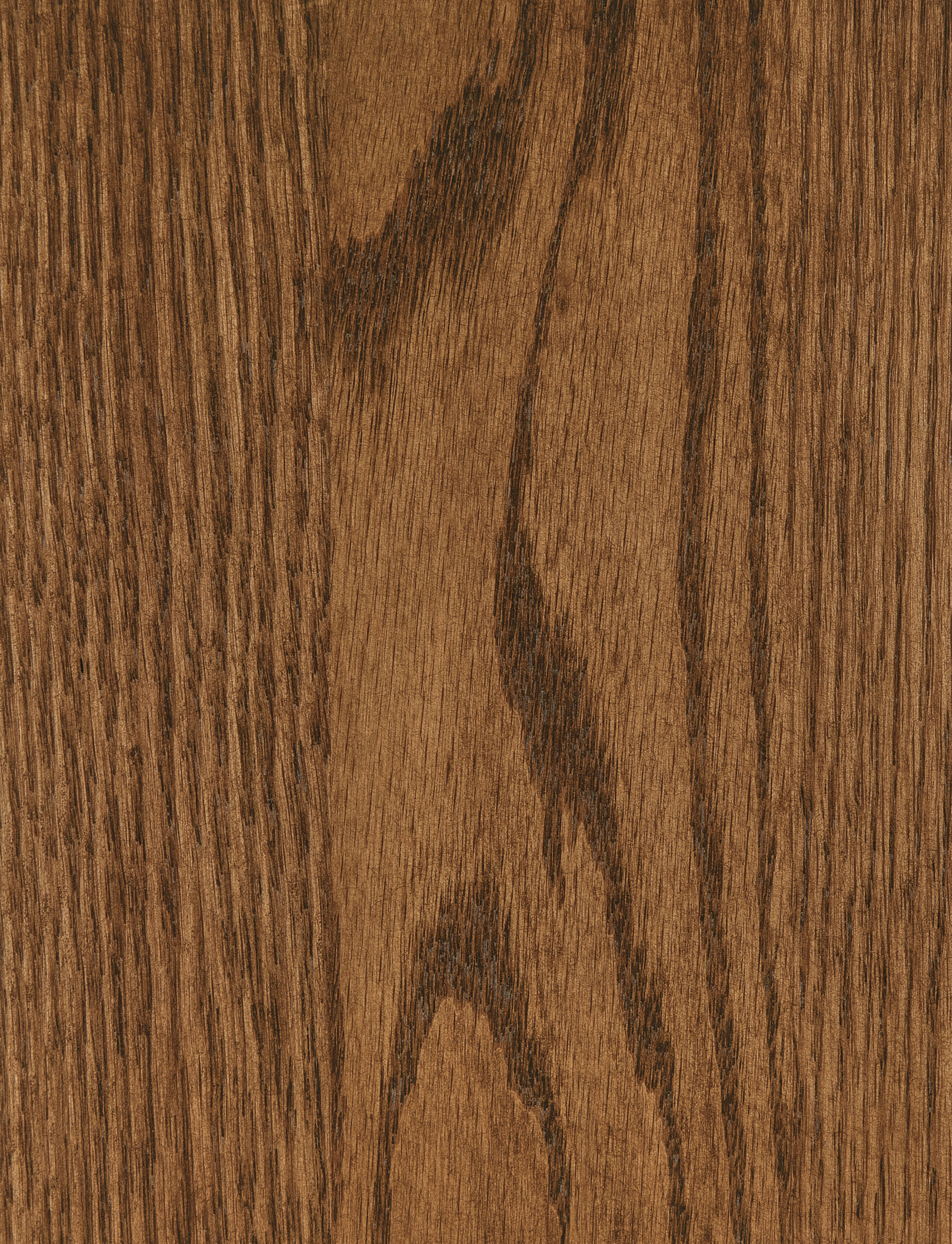 Oak-Clove – SP