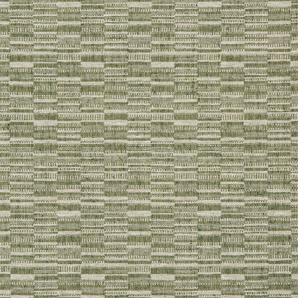 16-169-Fern-HF