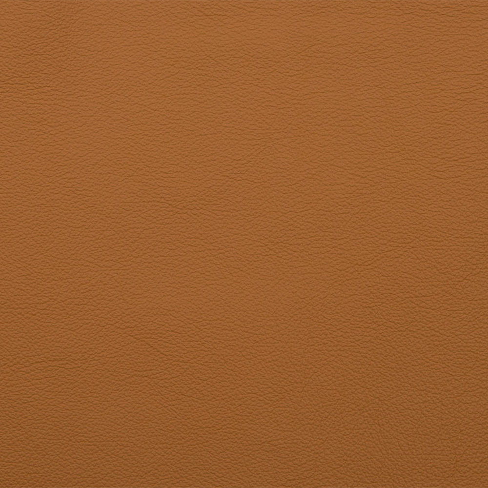 Camel – HF