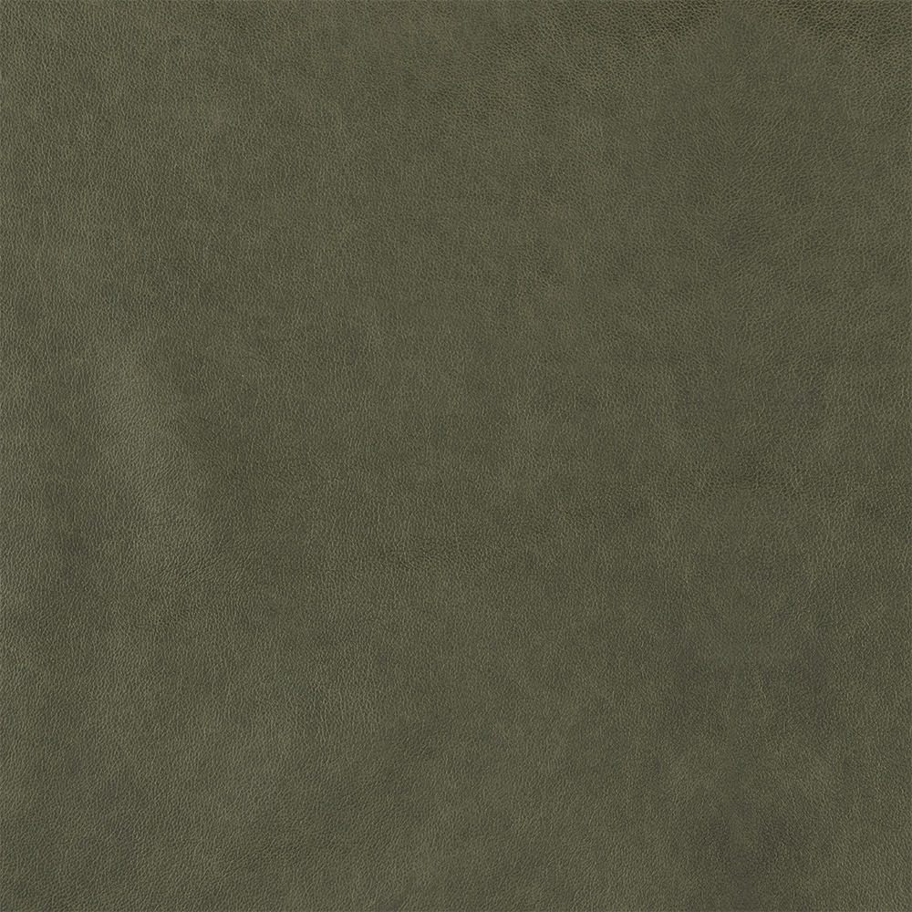 Forest – HF