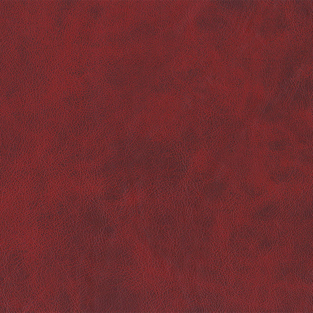 Oxblood – HF