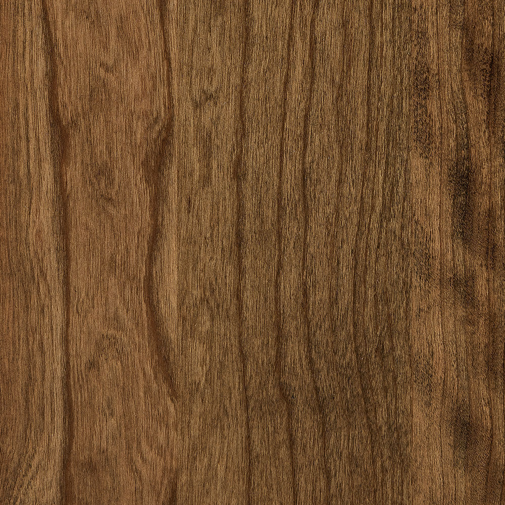 PCL – Bel Air – SP