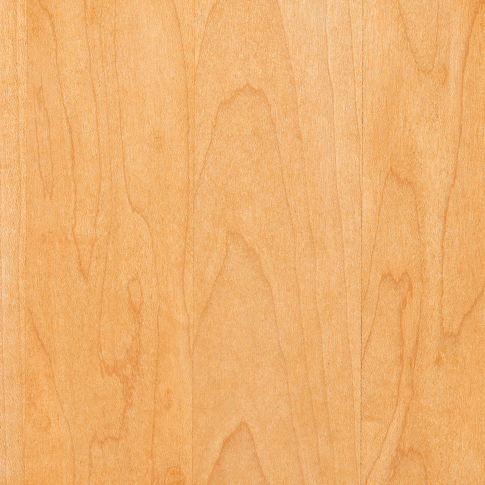 PCL – Honey – SP