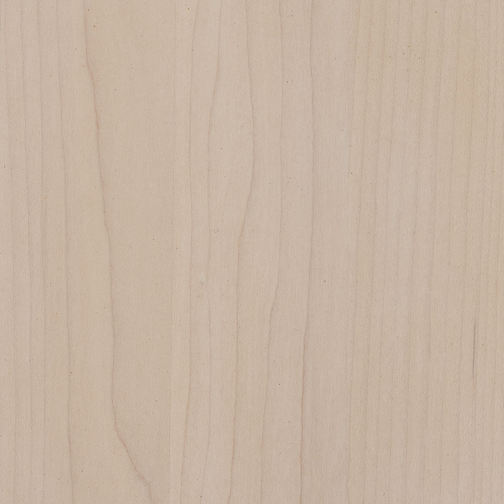 PCL – Limed – SP