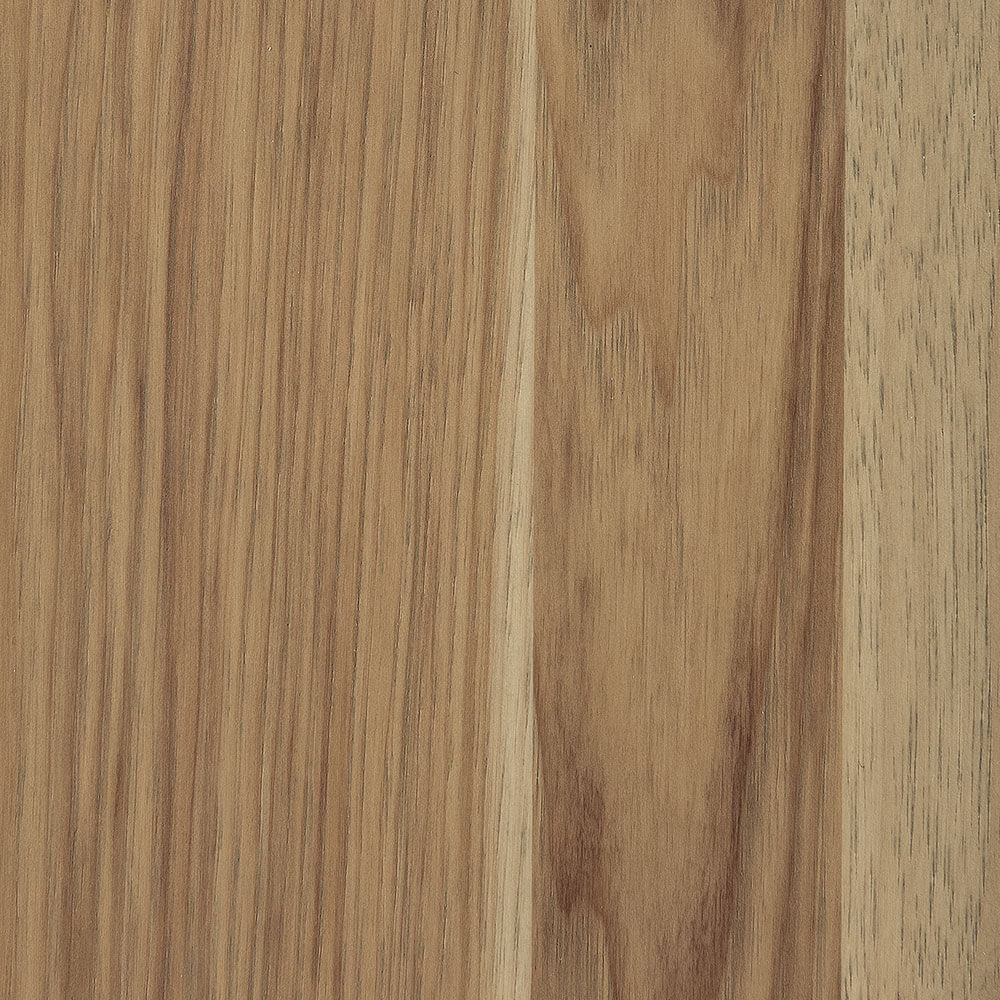 PCL – Seashell – SP