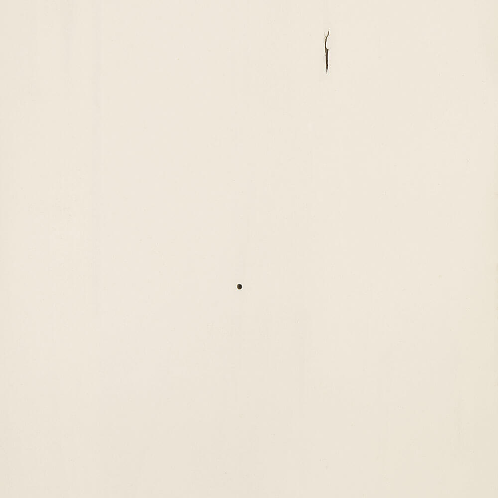 PCL – Muted White – SP