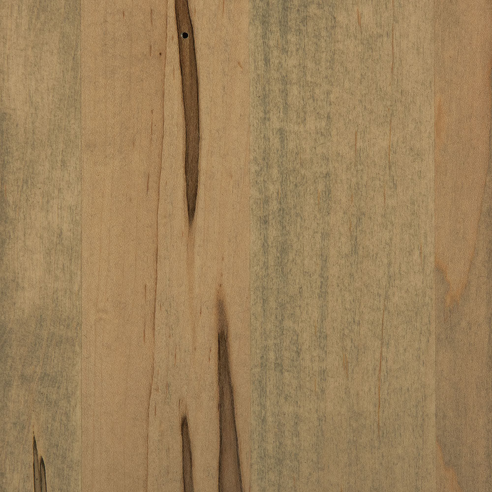 PCL – Seashell – SP