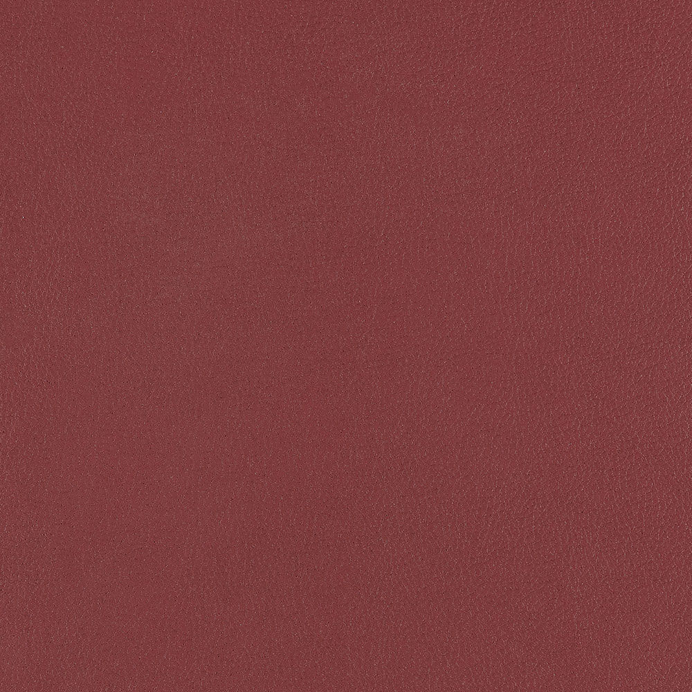 U3-47 Beet Root – HF